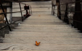5 Manifestos That Can Change Your Views About Almost Anything