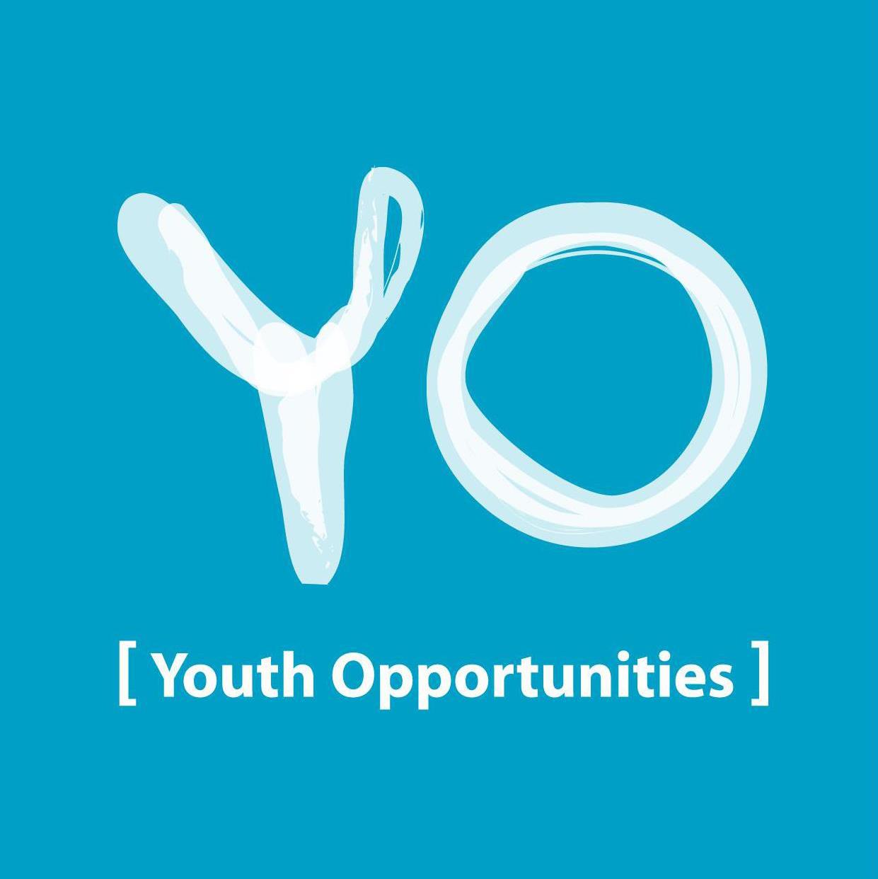 The Agents Of Youth Opportunities - Future Startup