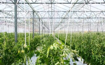 The Megatrends Defining The Business Of Food In Bangladesh in 2019 And Beyond