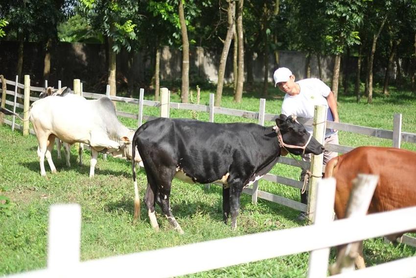 The Story of Neofarmers: An Interview With Tamzid Siddiq Spondon, Managing Director, Neofarmers 3