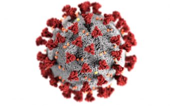 Surviving Coronavirus: A Guide For Startup