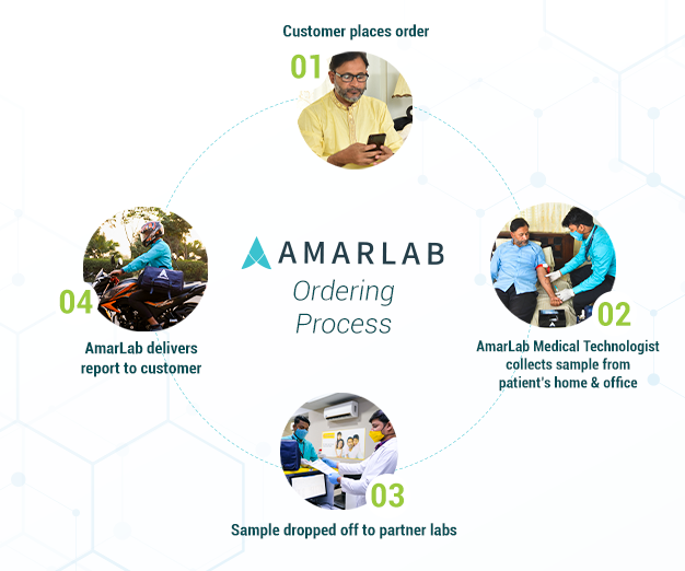 Amarlab - how it works